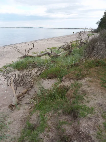 Halshuisene + Enebaerodde Beach (Denemarken)